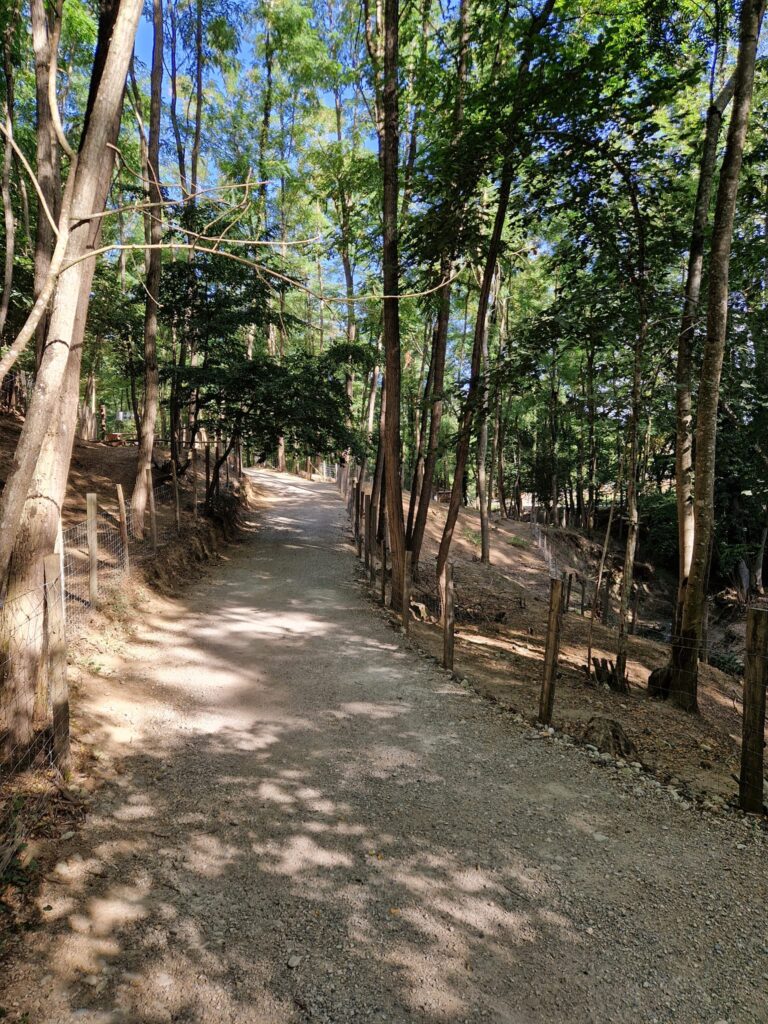 476839725_631380899276720_942034302809971183_n