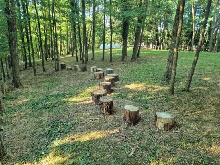 494754693_687753526972790_8678560458264902219_n