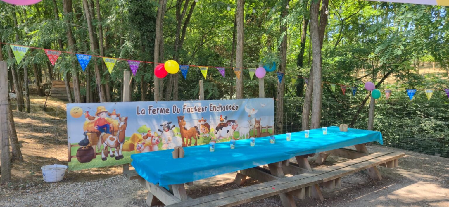 WhatsApp Image 2025-07-12 à 12.30.45_50d2043c